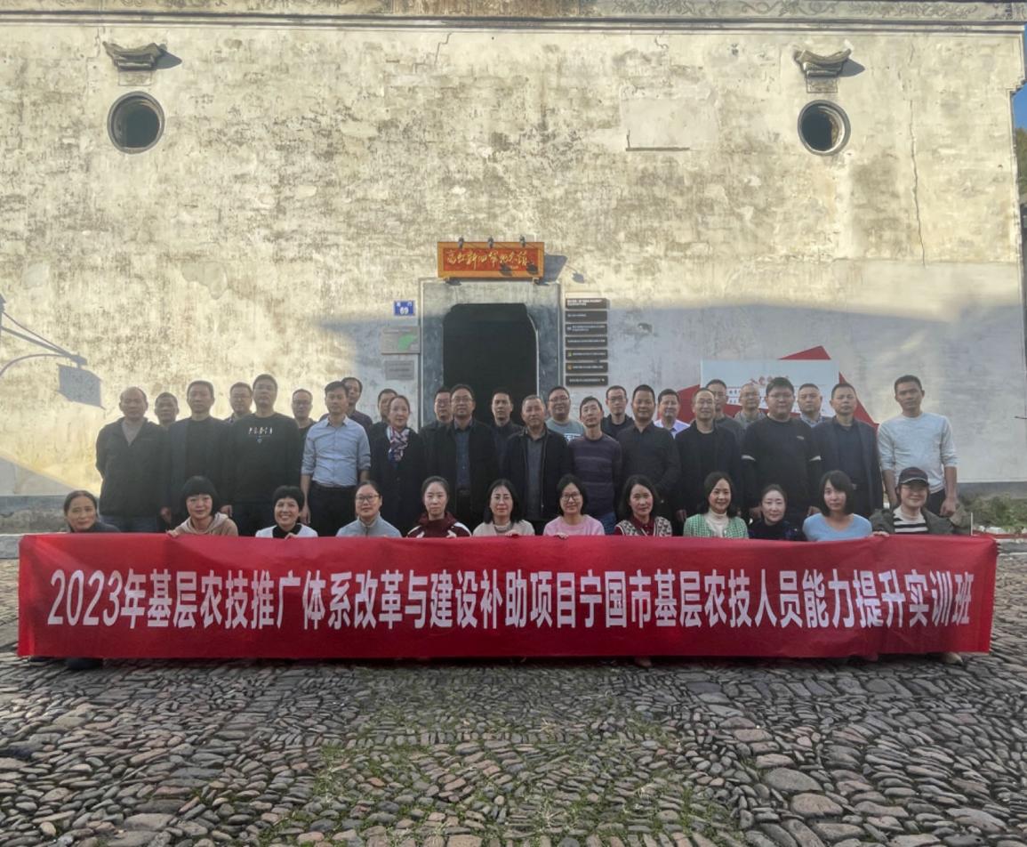图片 6