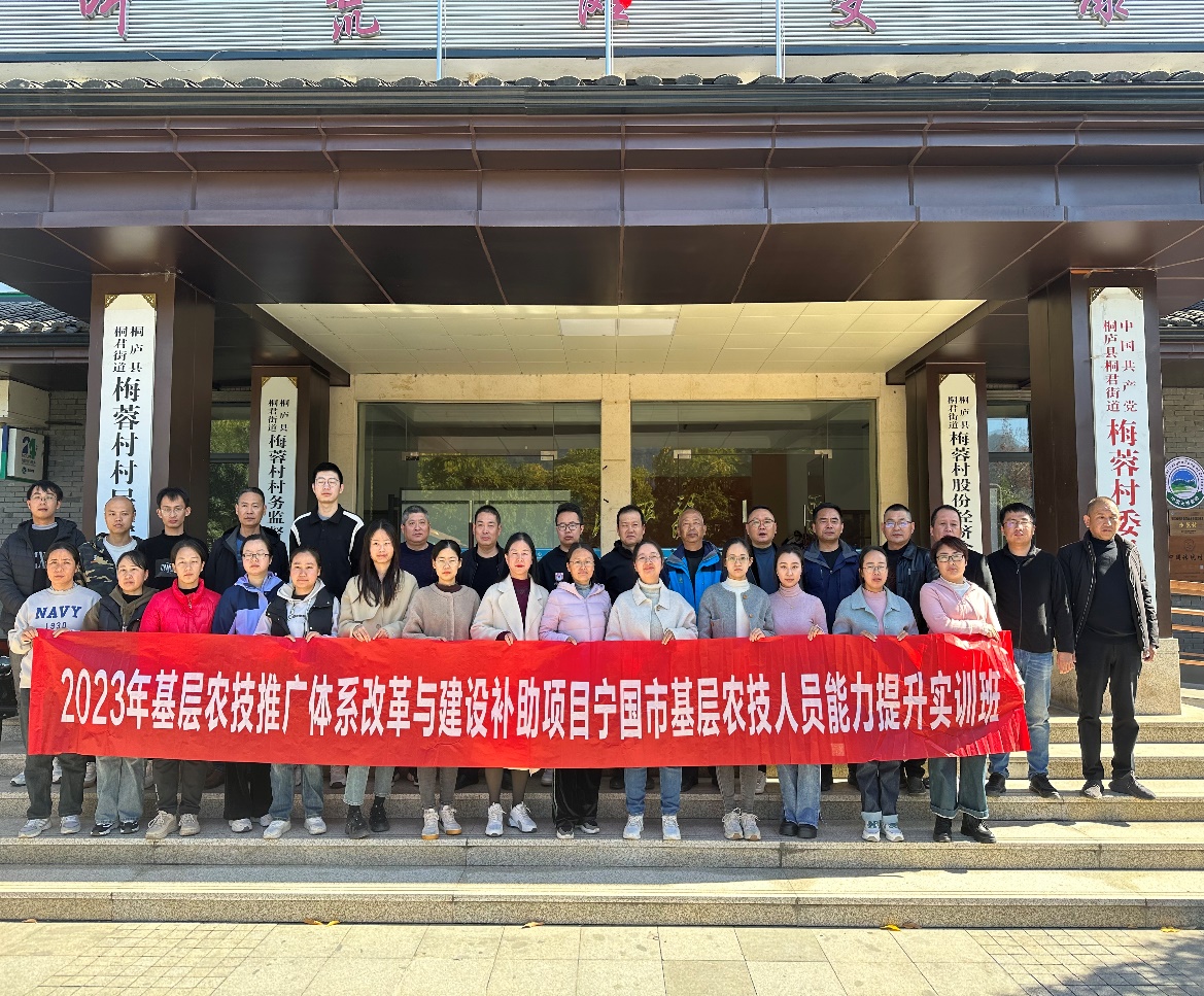 图片 12