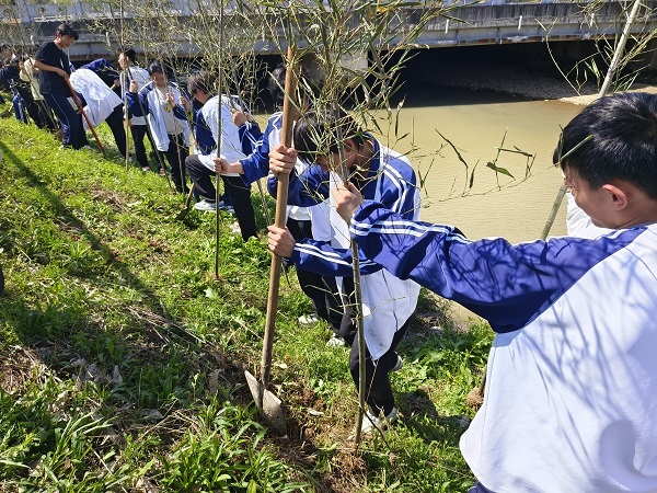 2024年3月29日，安材学校组织植树活动1.jpg