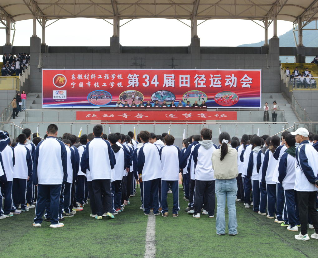 3337d666-35a4-4b74-bd9c-3bffb649287a